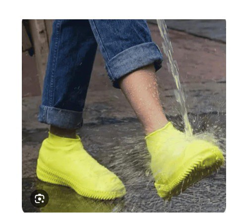 Protectores de Zapatos